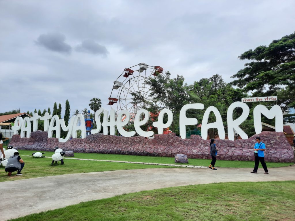 タイ国内最大級の羊牧場 パタヤ シープ ファーム 大人も楽しめる観光地 Pattaya Sheep Farm